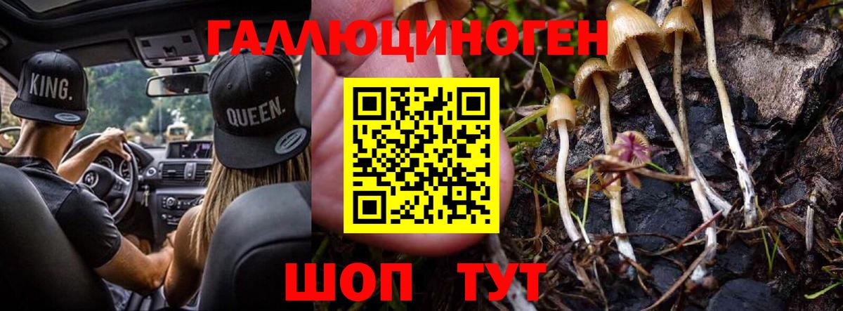 Мурино  Галлюциногенные грибы GOLDEN TEACHER  Вход с VPN 